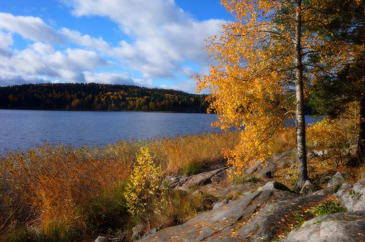 Осень на Ладоге
