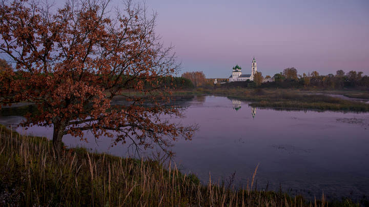 Дерево
