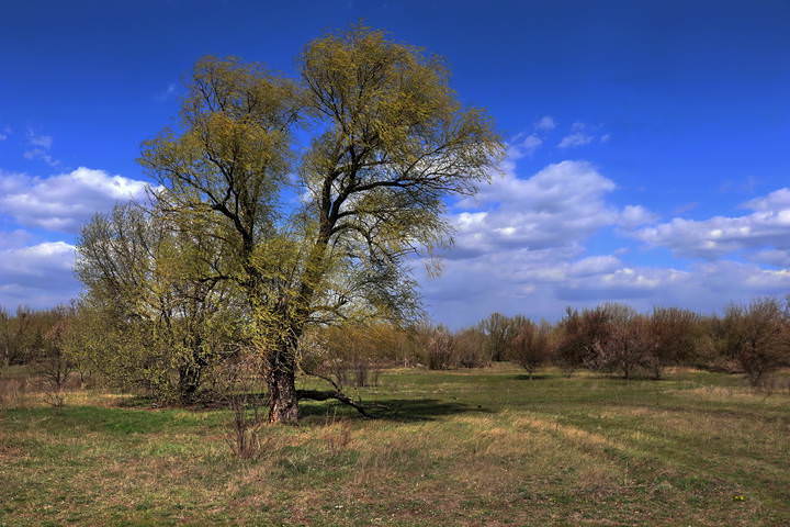  Время тревожного неба.