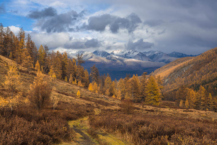 Краски Осени