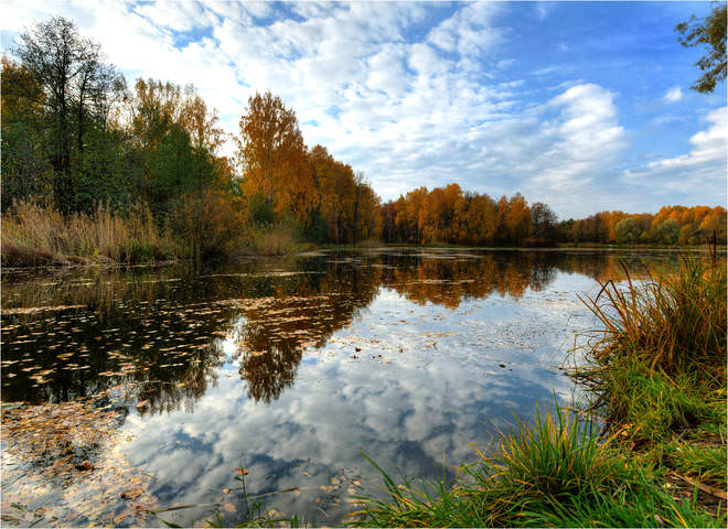 Английский парк