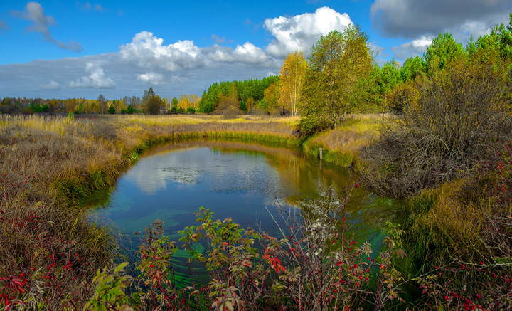 Осенняя палитра красок
