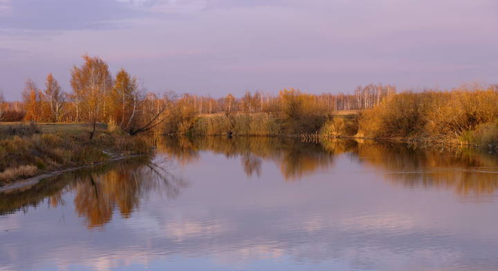Осень в свете заката.