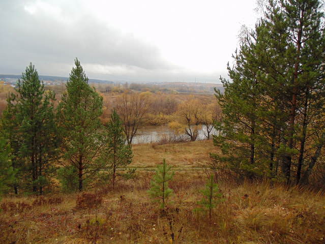 Осень .