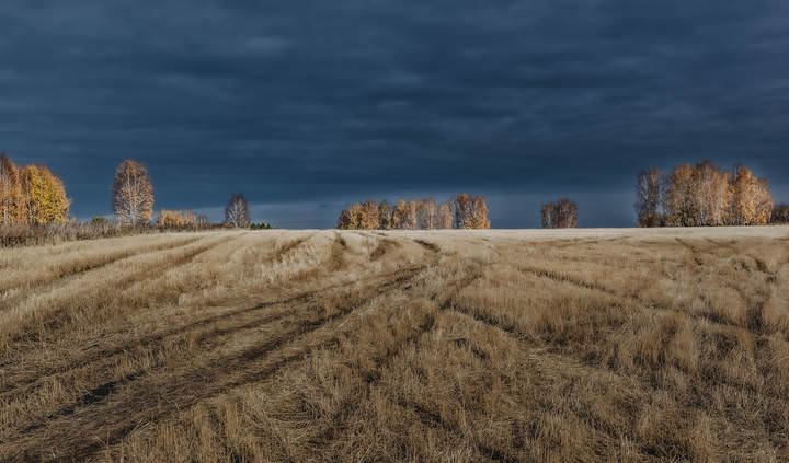 Предзимье.