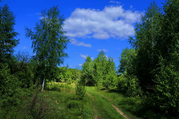 Весна, облако.