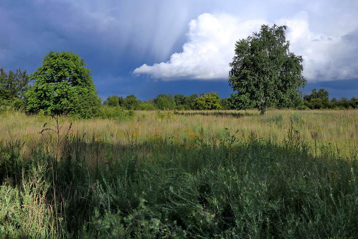 Белое облако.