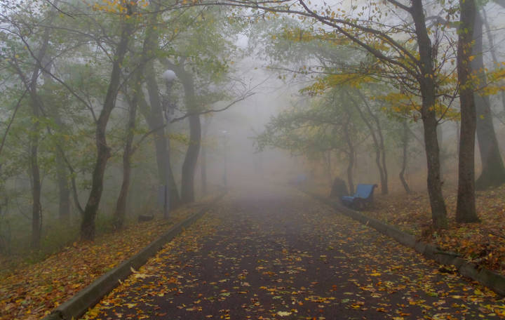 В парке туманном.......