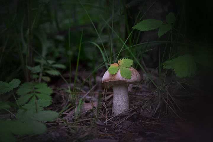 -В предзакатных сумерках...