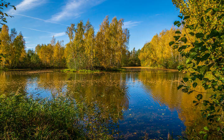 Бабье лето в 2022 году # 05 