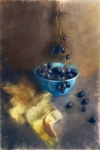 с синей миской