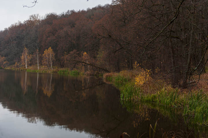 осень