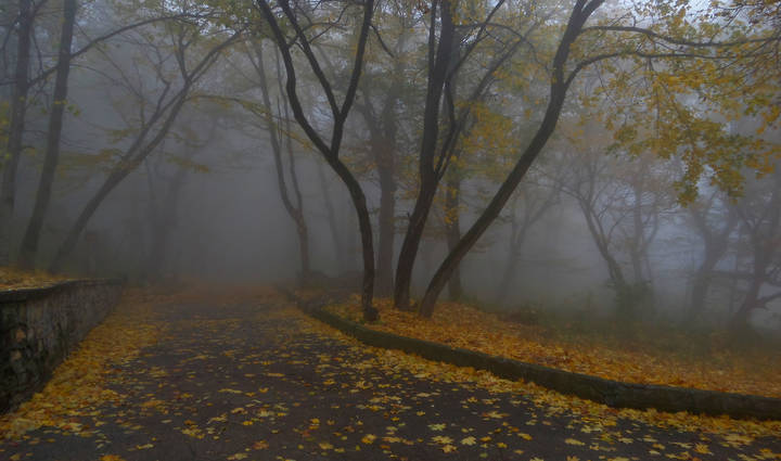 Утро туманное.....