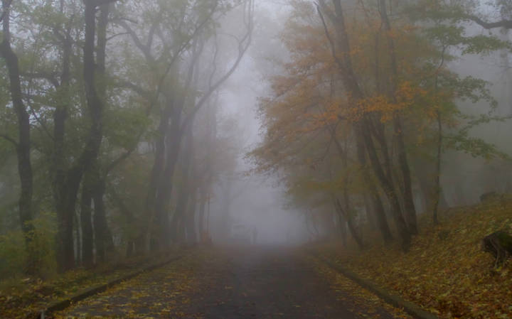 В парке осеннем.......  
