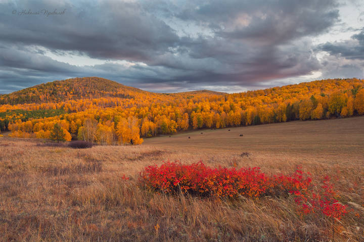 Краски сентября.