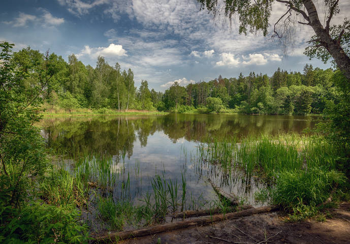 Тихая река