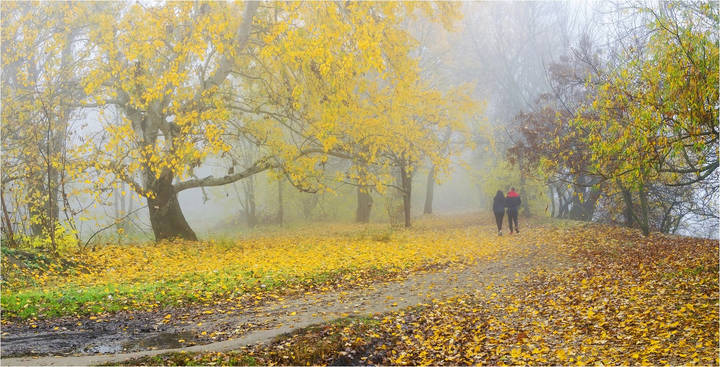 Осенние прогулки на берегу реки..