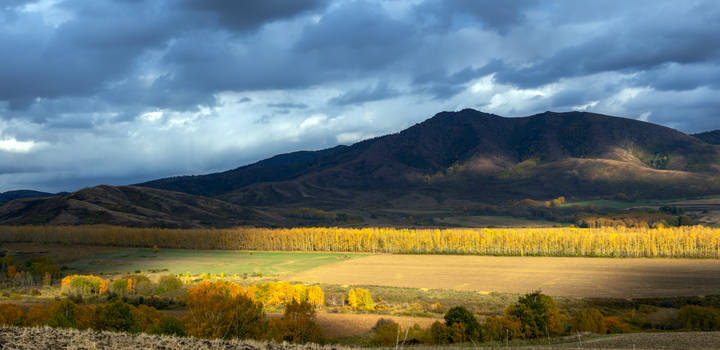 Осенняя
