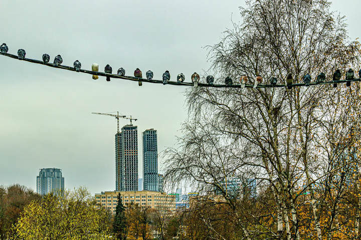 Осеннее настроение...