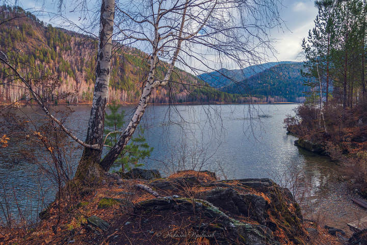 Осенний берег Енисея.
