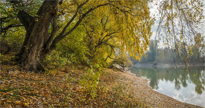 На осенних берегах..