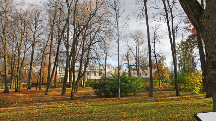Осень в парке Александрия