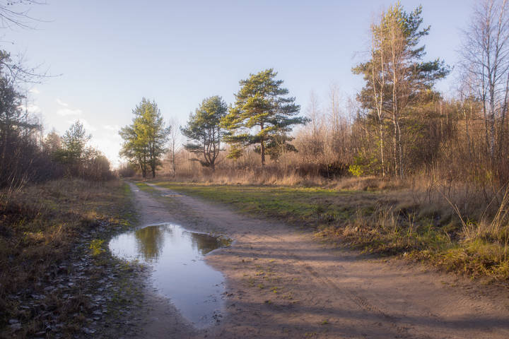 Предзимье