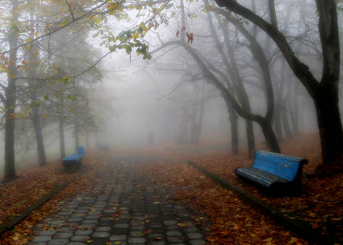 В аллее туманной.....
