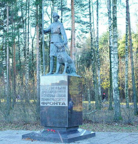 Осенняя прогулка в самом большом парк Санкт-Петербурга - парке Сосновка.