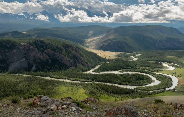Красавица Чуя