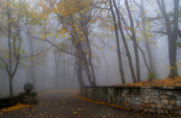 В осеннем парке.......