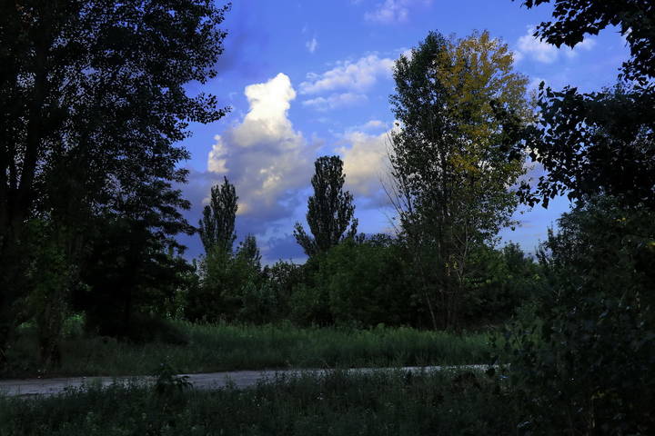 Лето, день.