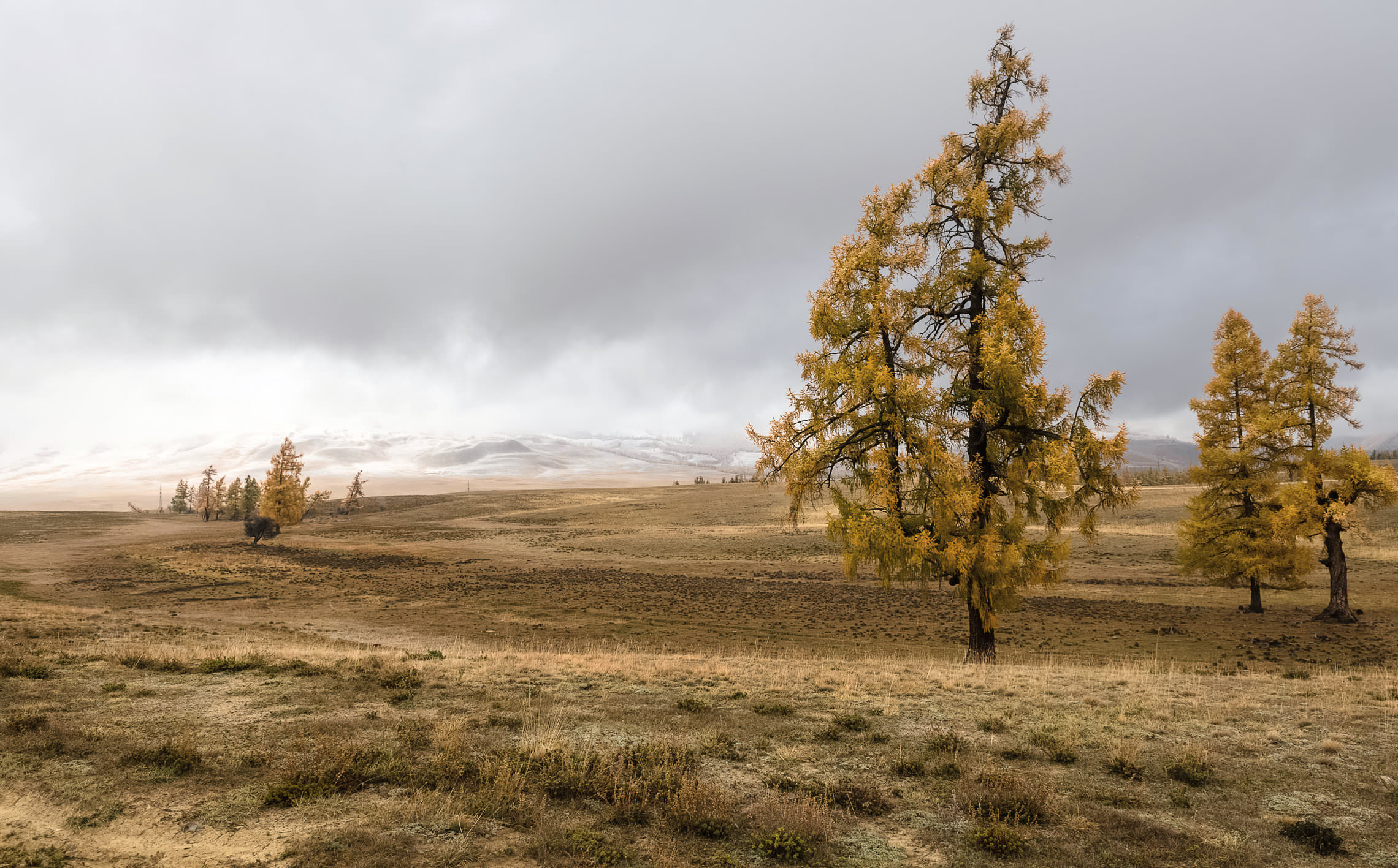 Алтайская осень