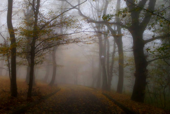 Осенний парк.........