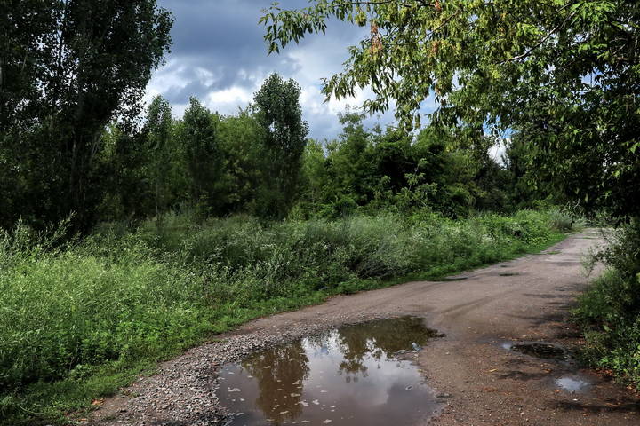  Там за поворотом.