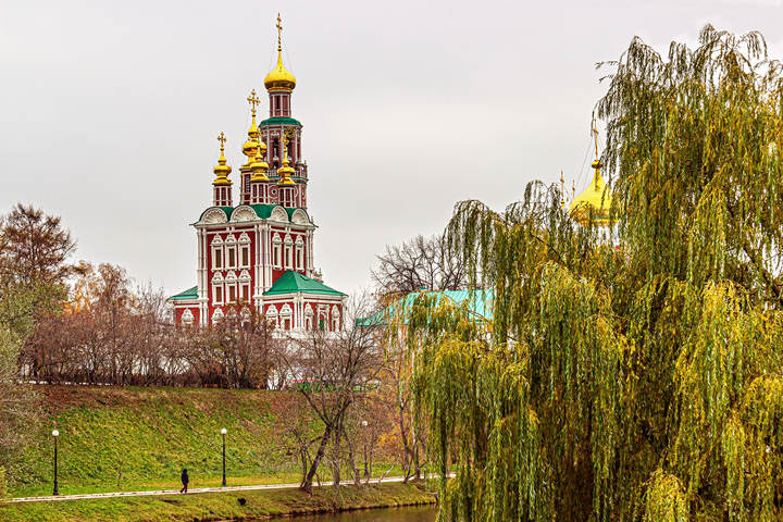 Ивы у Новодевичьего пруда...