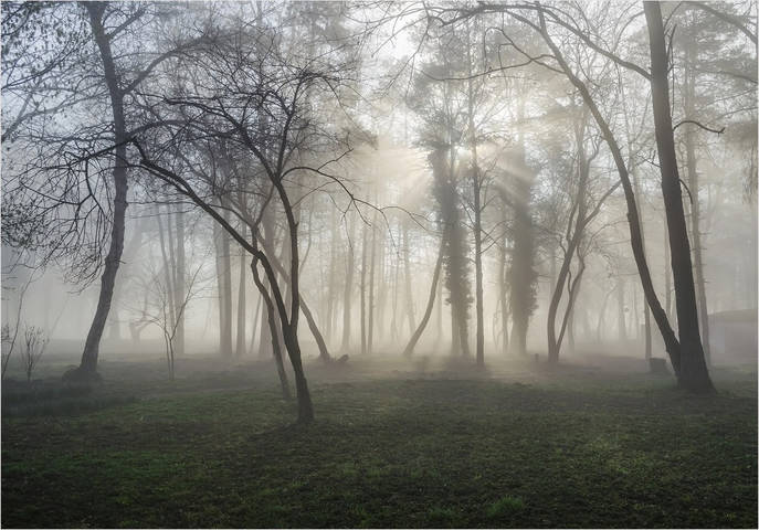 В утреннем тумане..