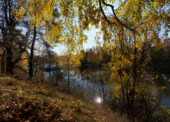 Сквозь золотое кружево листвы