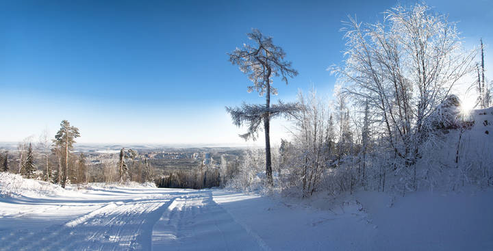 Зимний полдень
