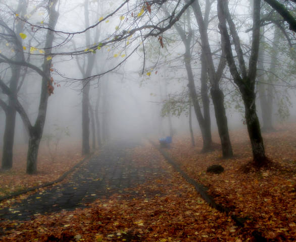 В тумане утреннем......