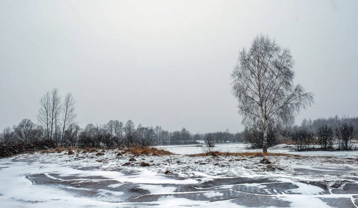 Графика зимнего дня