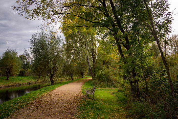 Пейзаж с одинокой скамейкой