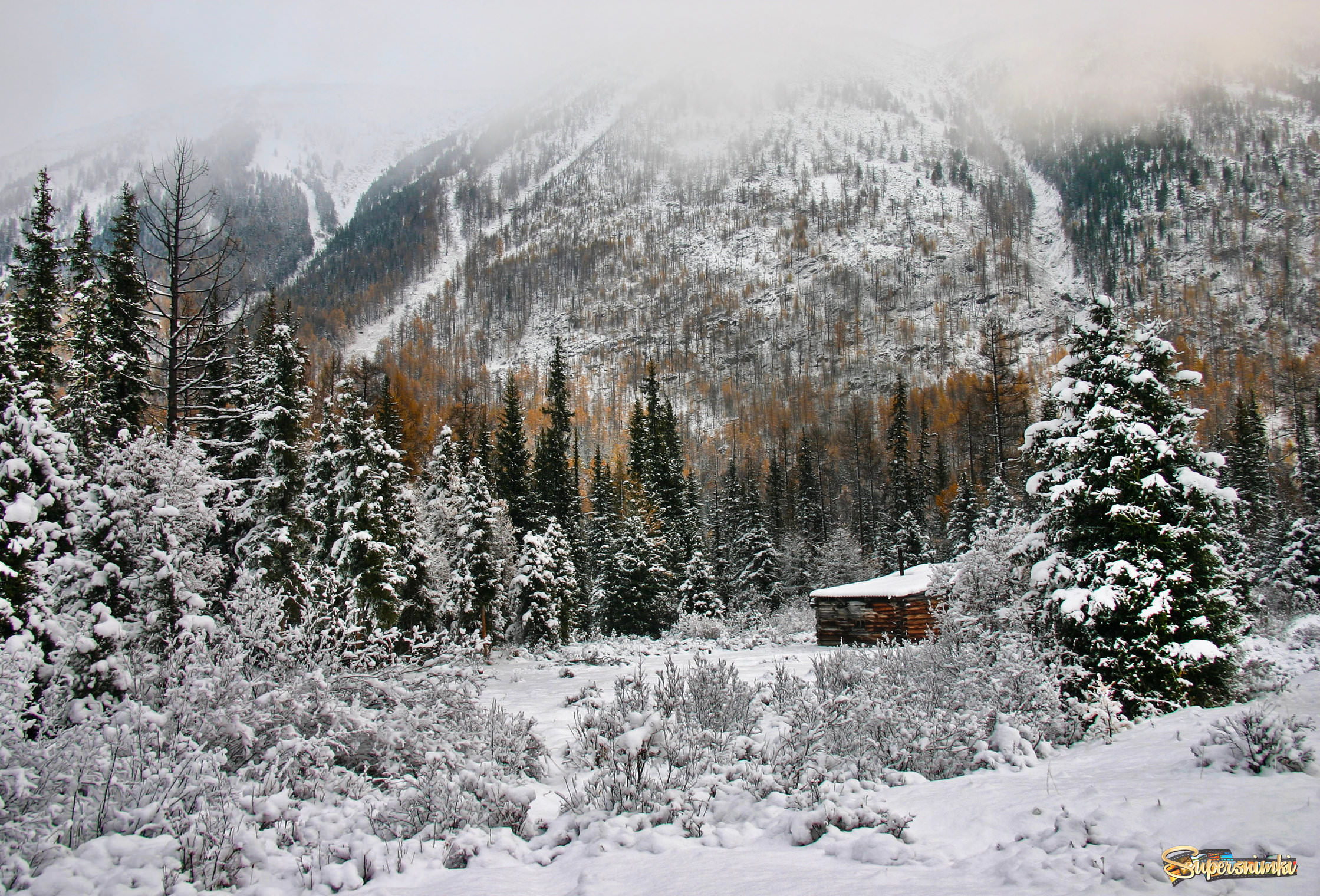 Горы в сибирской тайге зимой