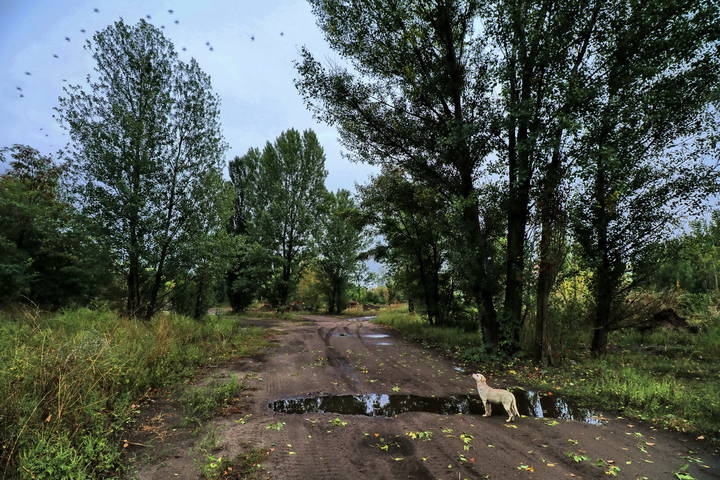 Дождь прошёл.