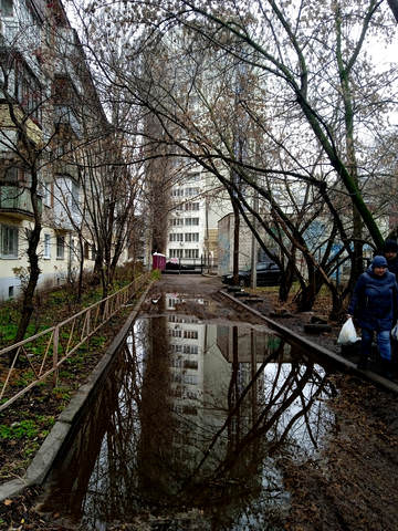 лужа