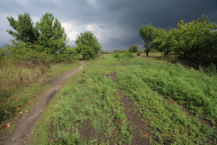  Перед дождём.