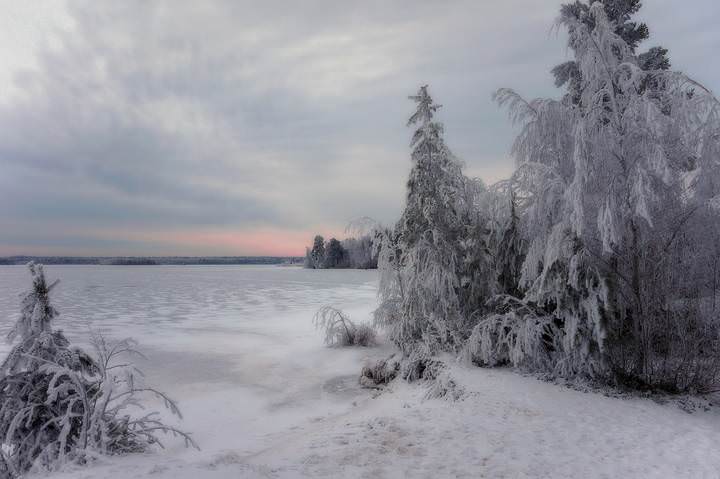 морозное утро