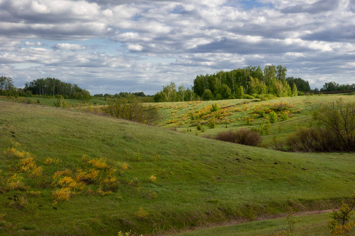 # 1
