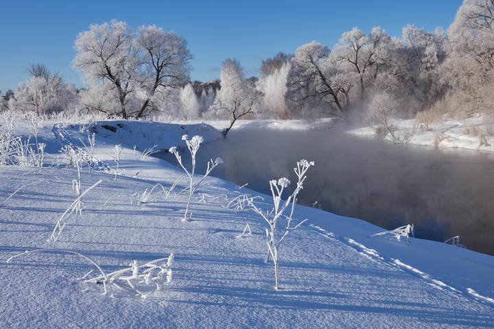 Морозное утро