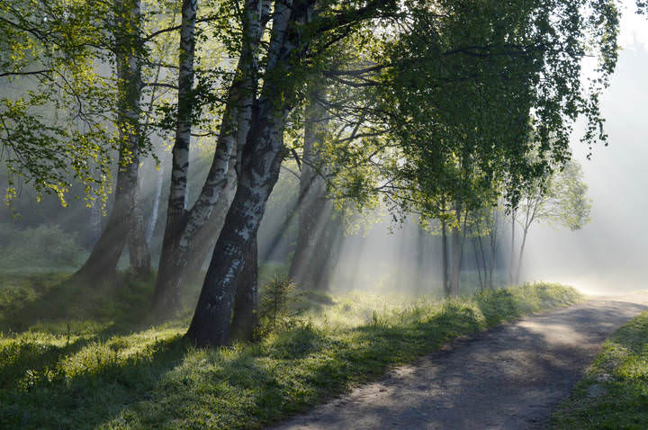 В утреннем свете.......